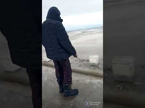 Видео: Лазарев Рыбалка Охота на аэролодке