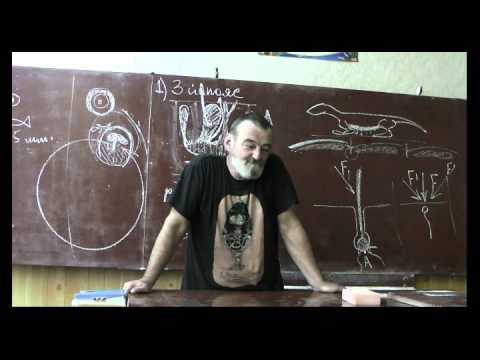 Видео: Драконоведение. Часть 4