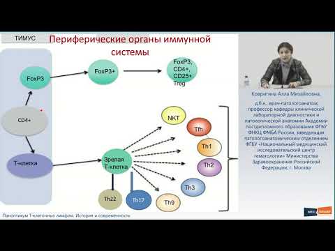 Видео: Паноптикум Т-клеточных лимфом. История и современность