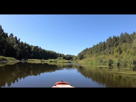 Видео: Быстрица 2022. От Адышевского моста до п. Стрижи.