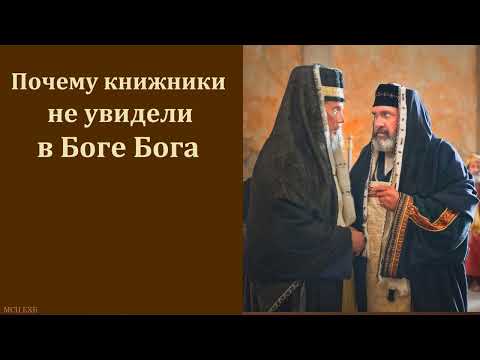 Видео: "Почему книжники не увидели в Боге Бога". Е. А. Чмых. МСЦ ЕХБ