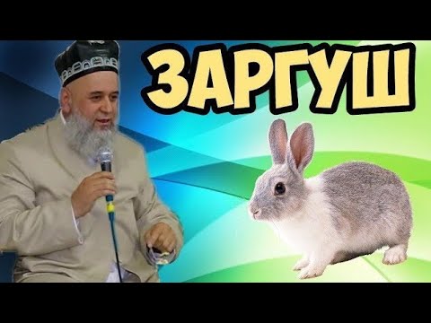 Видео: ХОЧИ МИРЗО  - ГУШТИ ХАРГУШ ХАРОМАЙ?