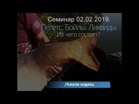 Видео: Ловля карпа. Дикий водоем. Пелетс. Бойлы. Ликвиды. Семинар в Хмельницком