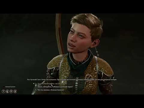 Видео: bg3 \\ Дуо доблесть