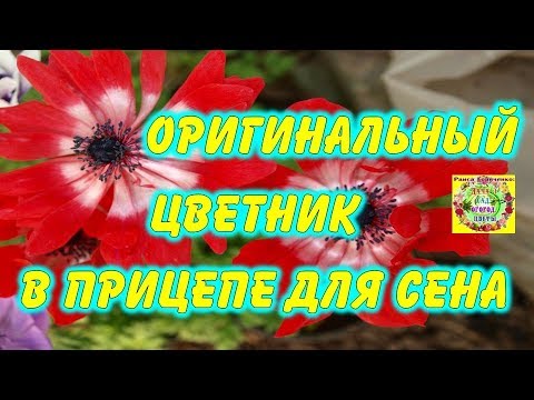 Видео: Как сделать красивый цветник в прицепе для сена. Лайфхак от Раисы Горяченко. Смотри и делай.