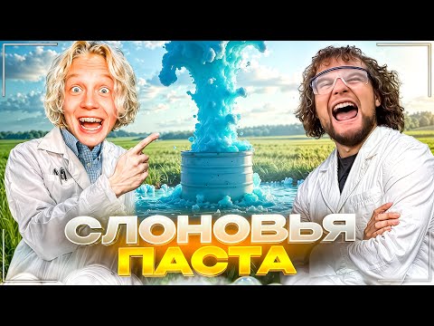 Видео: ХАЗЯЕВА СДЕЛАЛИ ЭКСПЕРИМЕНТ СО СЛОНОВЬЕЙ ПАСТОЙ | ЛЮТЫЙ УГАР С БУЛЬБОМЕТОМ