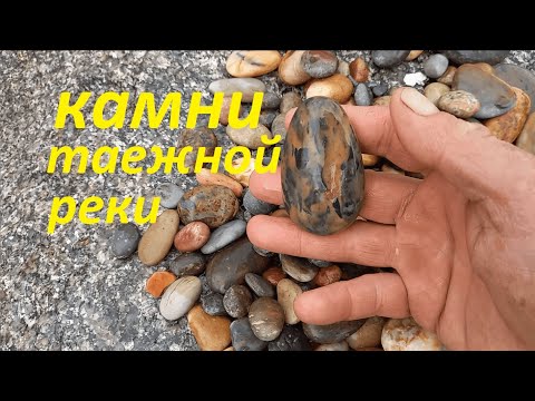Видео: Камни таежной реки