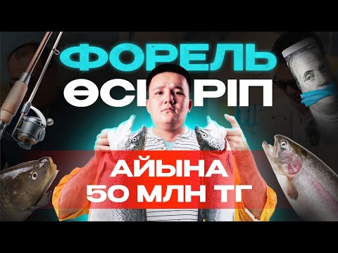 Видео: Балық шаруашылығы, жылына 500 тонна балық өсіру