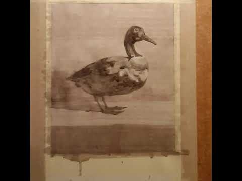 Видео: Рябицева О.А. МБУК ДО ДХШ №1 имени П.П. Чистякова УП Рисунок, ПГ класс. "Рисунок чучела птицы".