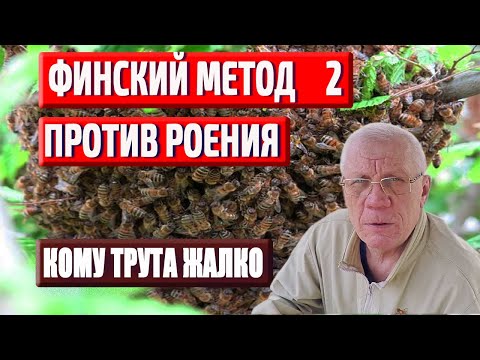 Видео: Борьба с роением пчел. САМЫЙ Простой способ. Финский метод. #2