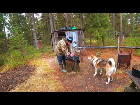 Видео: С Батей на Кордон. Две Недели в Тайге. Постановка Сетей. Готовим Добытую Дичь!