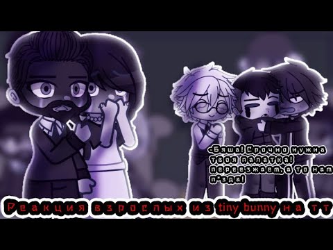Видео: Реакция взрослых из tiny bunny на тт |1/2|