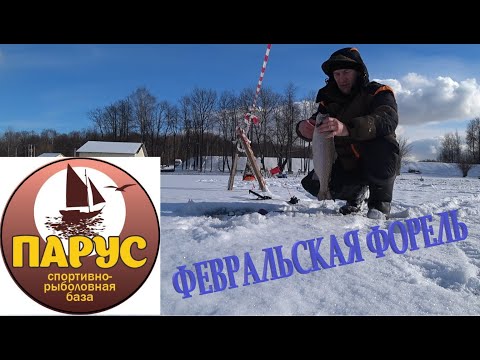 Видео: ФОРЕЛЬ СО ЛЬДА  ПАРУС ЮГ  УТРО  МНОГООБЕЩАЮЩЕЕ