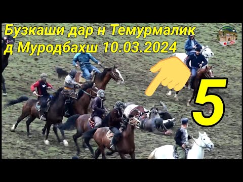 Видео: Бузкаши дар н Темурмалик д Муродбахш 10.03.2024 Кисми 5