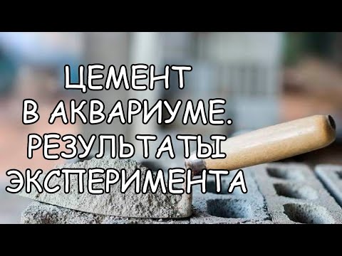 Видео: ЦЕМЕНТ В АКВАРИУМЕ. РЕЗУЛЬТАТЫ ЭКСПЕРИМЕНТА