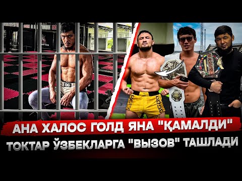 Видео: АНА ХАЛОС ГОЛД ЯНА "ҚАМАЛДИ". ТОКТАР ЎЗБЕКЛАРГА "ВЫЗОВ" ТАШЛАДИ