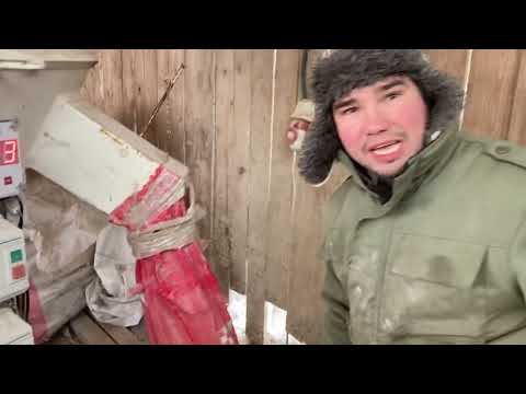 Видео: Загружаем размол в кормораздатчик