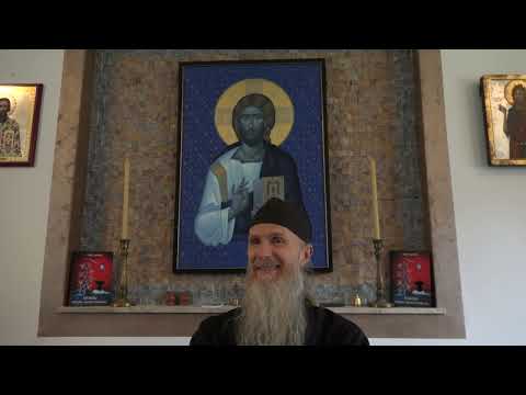 Видео: Мачка у дому здравља