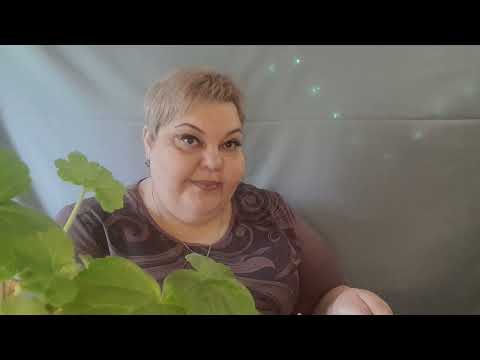 Видео: Асмр 📚Сегодня Я Училка 🤦‍♀️📗📒✏️(Да не обидятся на меня учителя 🙏)😇