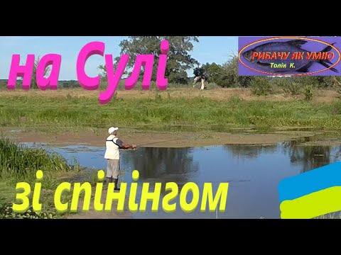 Видео: #СУЛА #За щучкою травянкою #РибачуЯкУмію