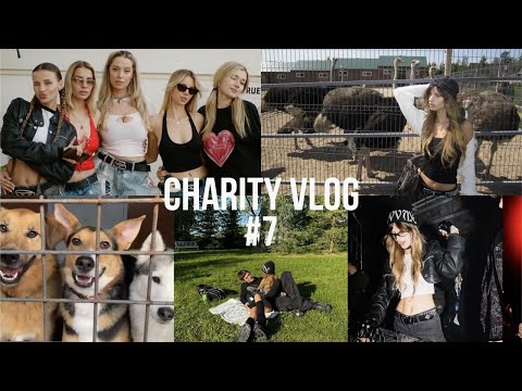 Видео: VLOG #7: благотворительный тур и маркет | ферма и приюты | мои диджей-сеты