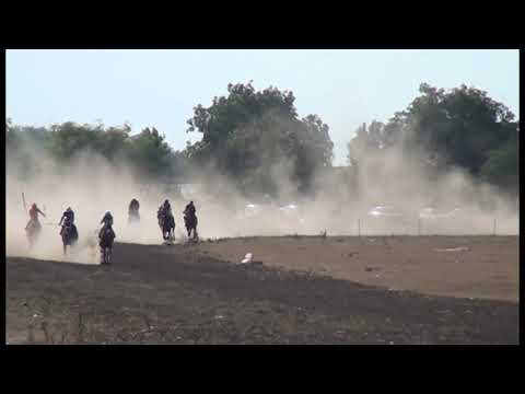 Видео: Браничево Конни надбягвания  9.08.2020г. (1)