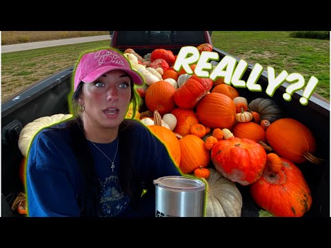 Видео: Кажется, меня обманули...?