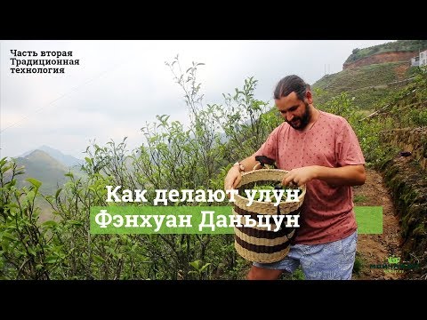 Видео: Как делают чай. Улун Фэнхуан Даньцун в горах Феникса, традиционная технология. Часть Вторая