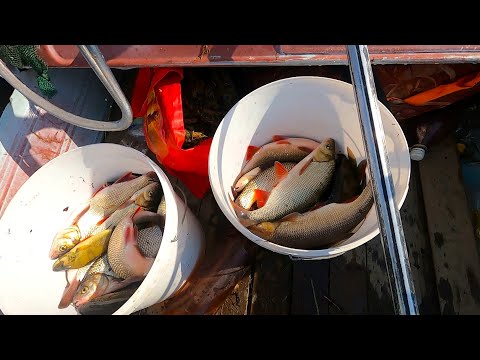 Видео: УЛОВ ВСЁ БОЛЬШЕ и БОЛЬШЕ \ ВЕСЕННЯЯ РЫБАЛКА на ПРОДОЛЬНИКИ \ ПРОСТОЙ и ЭФФЕКТИВНЫЙ СПОСОБ ЛОВЛИ РЫБЫ