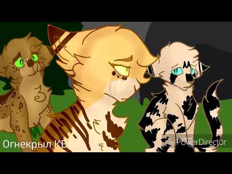 Видео: {Коты-Воители}||▪□Звездоцап и Златошейка□▪||[Не будь дурой]
