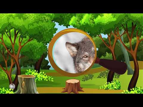 Видео: "ХТО СХОВАВСЯ?" Лісові мешканці #РаннійВік #ЗДО #гра