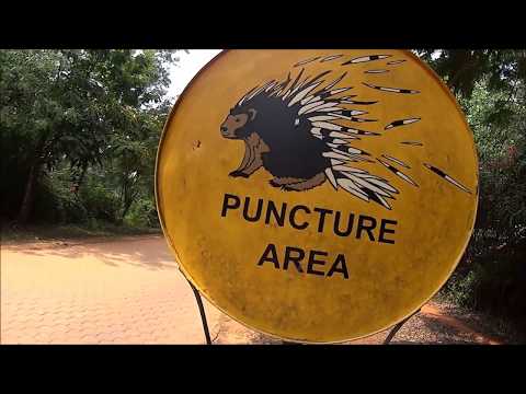 Видео: 12. ТРУДНАЯ ДОРОГА В МАТРИМАНДИР. АУРОВИЛЬ. ВСЕ ЛЮДИ КАК ЛЮДИ, А МЫ НЕ ИЩЕМ ЛЁГКИХ ПУТЕЙ.