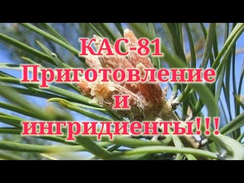 Видео: КАС-81! Что для этого нужно и как приготовить! Очень мощное средство от варротоза и нозематоза!