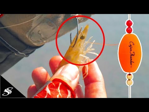 Видео: Оснастка и рыбалка с хлопающей пробкой + креветки!