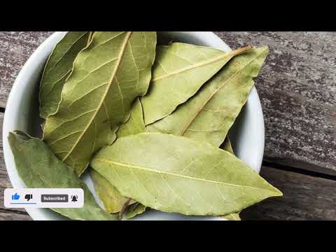 Видео: Пила Лавровый Лист каждый день, ВОТ ЧТО Стало....