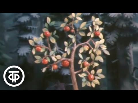 Видео: Чудесное яблоко. Мультфильм (1988)