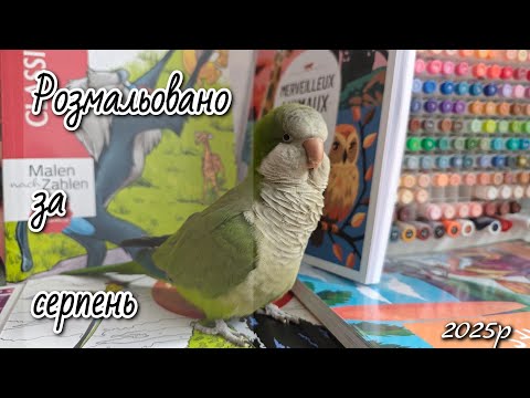 Видео: Розмальовано за серпень 2025р 