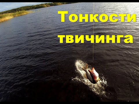 Видео: Некоторые тонкости рыбалки на твичинг