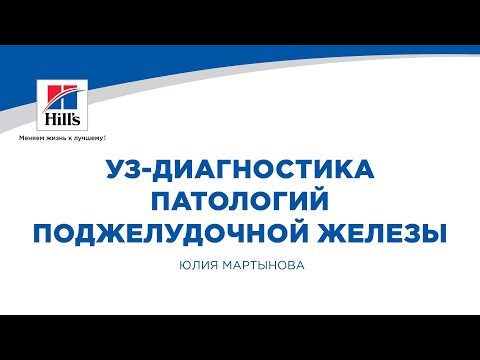 Видео: Вебинар на тему: «УЗ- диагностика патологий поджелудочной железы». Лектор – Юлия Мартынова.