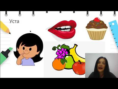 Видео: 3 до 4 години - Јазик и говор - Делови на телото