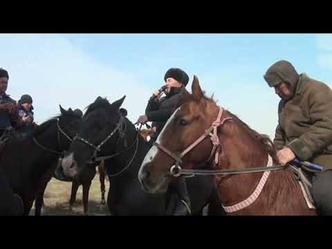 Видео: Талғат ағамыздың бата алу көкпар тойы, 27.02.2021 ж.