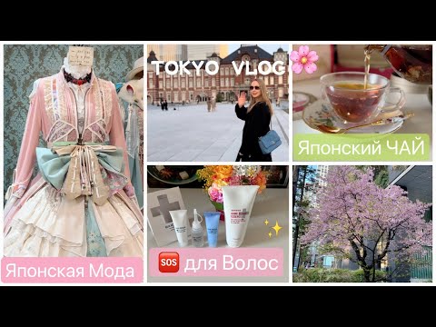 Видео: Japan ТОКИО 🇯🇵 Шопинг * Чай * Мода* Сакура * Прогулка* Средства для Волос✨