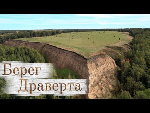 Видео: Берег Драверта 🌐 Горьковский район Омской области