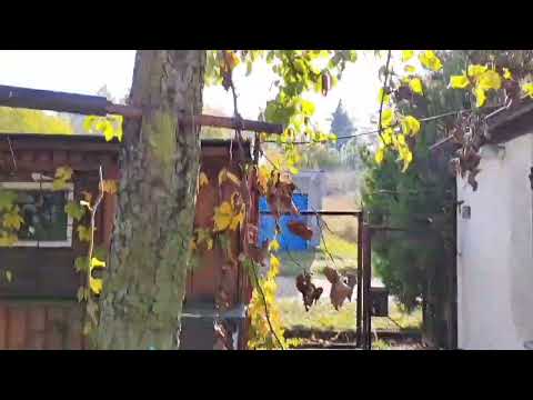 Видео: 6.Варианты жилья "за ремонт"! Польша 2024-2025