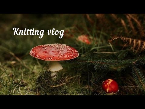 Видео: Новая пряжа для Valerie_Blouse / готовые работы с мухоморами 