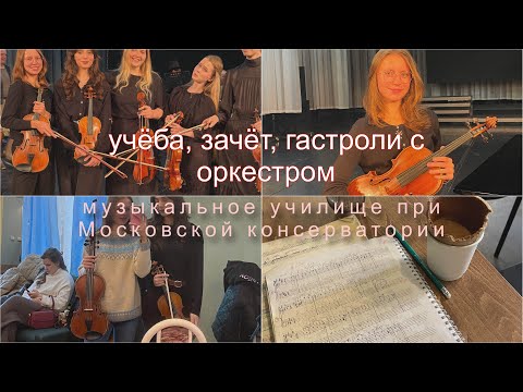 Видео: musicians study diary: осенний влог, зачеты, гастроли с оркестром? Осень! 🤎