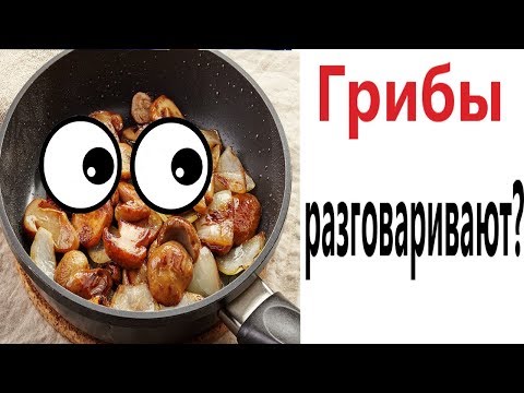 Видео: Лютые приколы. Я РАЗГОВАРИВАЮ С ГРИБАМИ!!! Самое смешное видео! Попробуй не засмеяться! Domi Show!