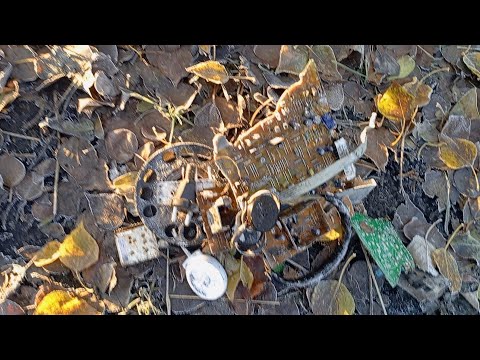 Видео: Есть Время Собираем Металл #металл #бизнес #деньги #цветмет #латунь #медь #металл #предприниматель
