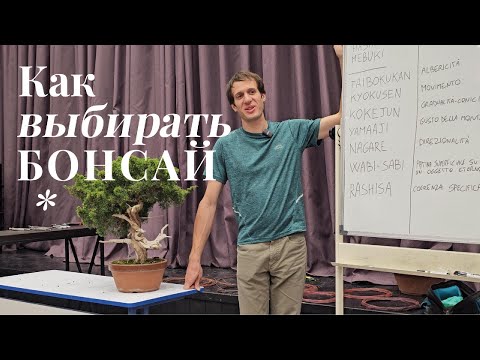 Видео: Как правильно выбирать бонсай? / Лекция Алессандро Бонардо