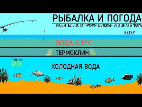 Видео: НЕ ХОДИ НА РЫБАЛКУ ЕСЛИ НЕ ЗНАЕШЬ ЭТО! Погода и рыбалка, Ветер, Давление, Температура! Школа рыбалки